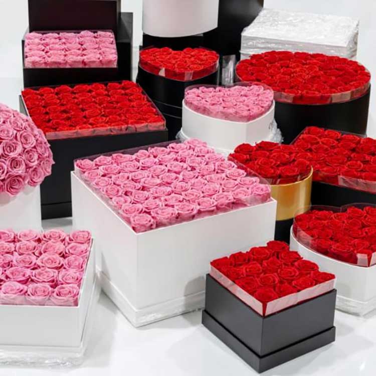 Konservləşdirilmiş Çiçək Qucaqlı Kovanı