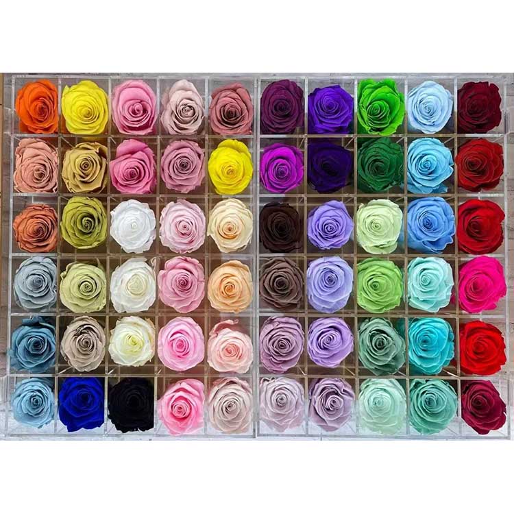 Konservləşdirilmiş qızılgüllər